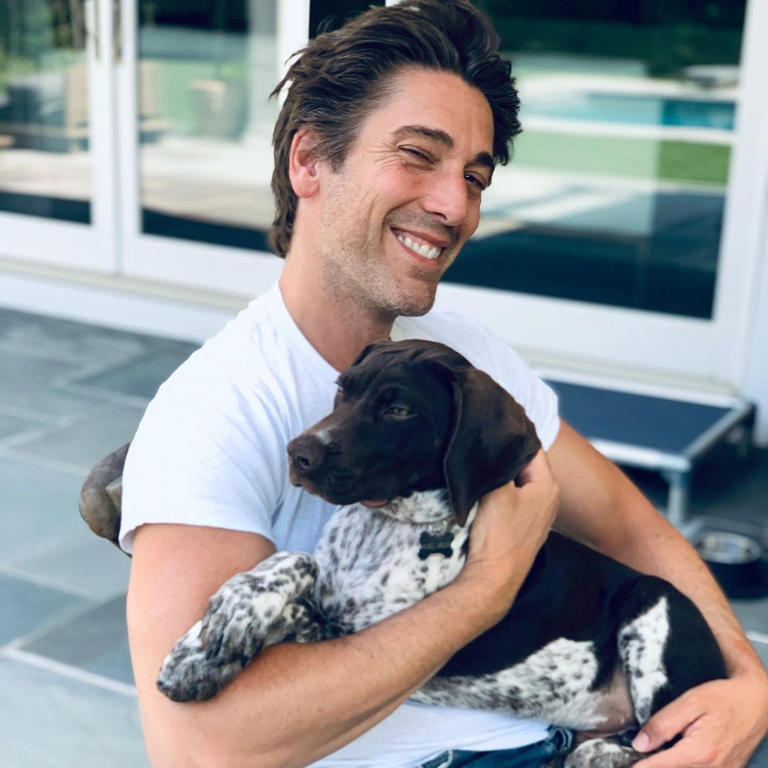 David Muir Net Worth, Career, and Personal Life